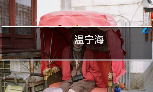 温宁海 攻略