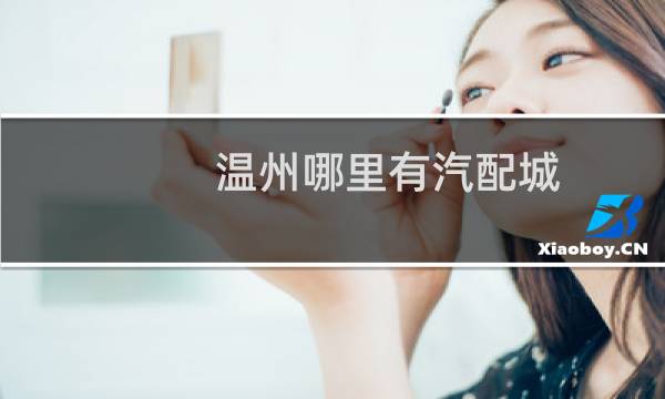 温州哪里有汽配城