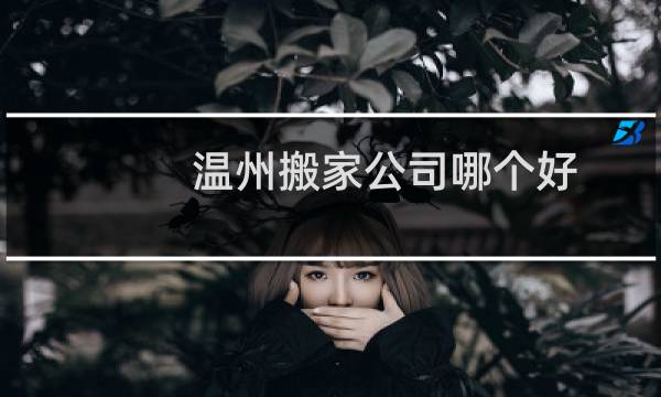 温州搬家公司哪个好