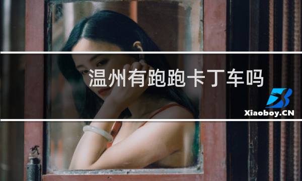 温州有跑跑卡丁车吗