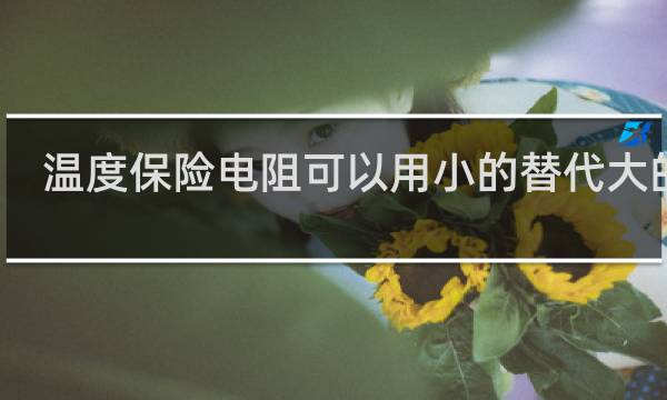 温度保险电阻可以用小的替代大的吗
