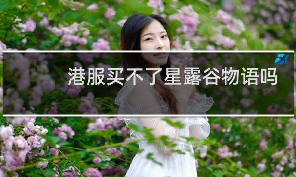 港服买不了星露谷物语吗