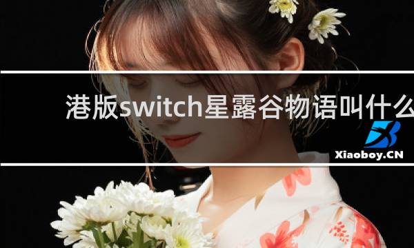 港版switch星露谷物语叫什么