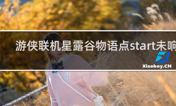 游侠联机星露谷物语点start未响应