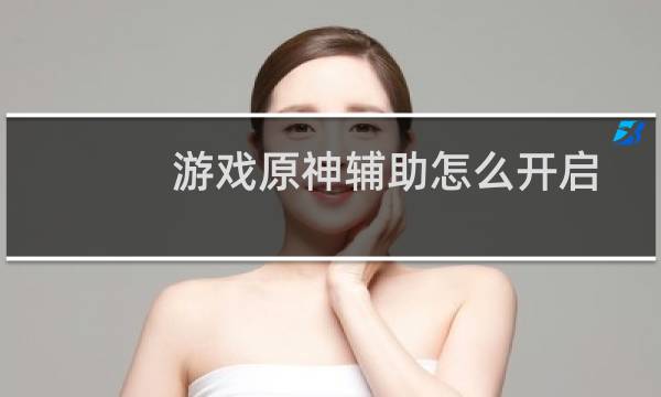 游戏原神辅助怎么开启