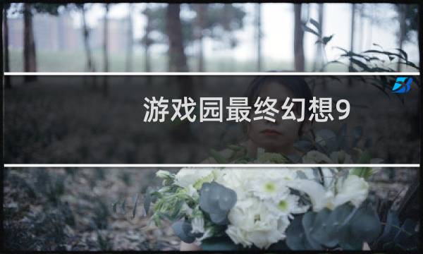 游戏园最终幻想9