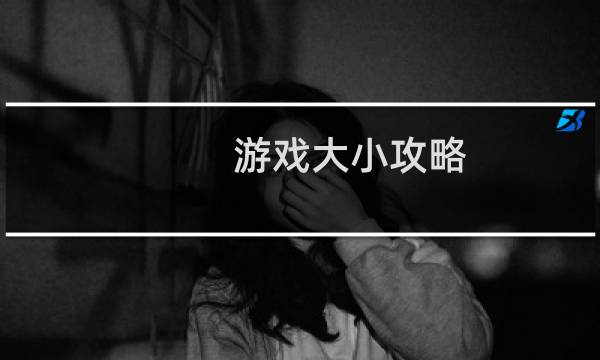 游戏大小攻略
