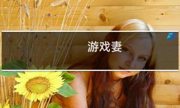 游戏妻 攻略