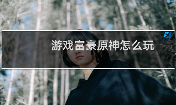 游戏富豪原神怎么玩
