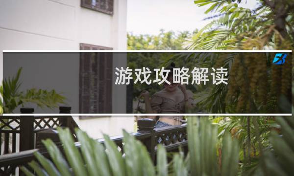游戏攻略解读