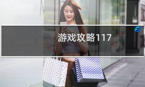 游戏攻略117