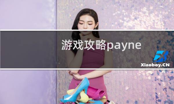 游戏攻略payne