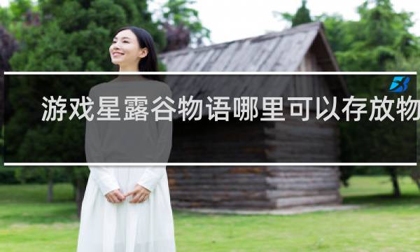 游戏星露谷物语哪里可以存放物品