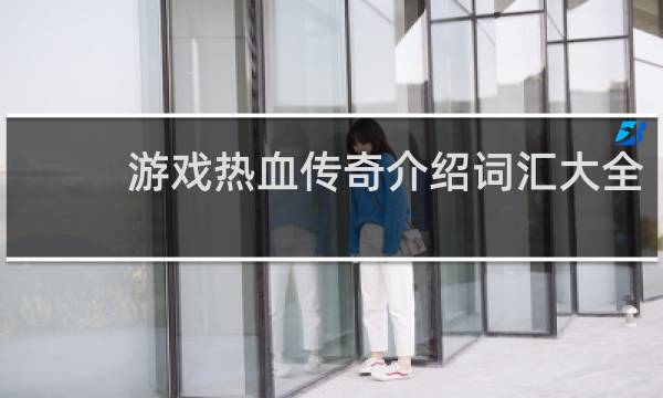 游戏热血传奇介绍词汇大全