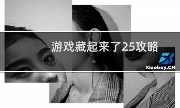 游戏藏起来了25攻略