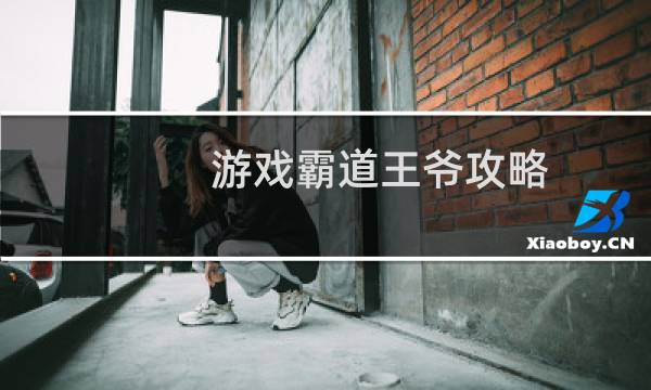 游戏霸道王爷攻略