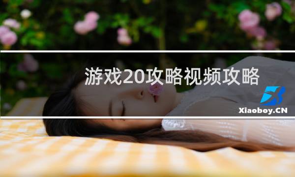 游戏20攻略视频攻略