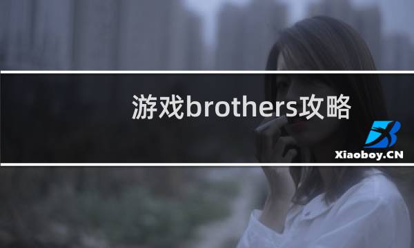 游戏brothers攻略