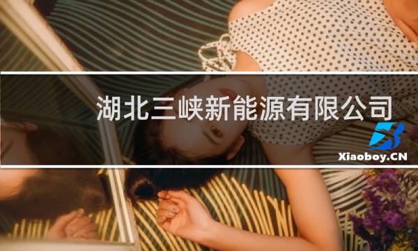 湖北三峡新能源有限公司