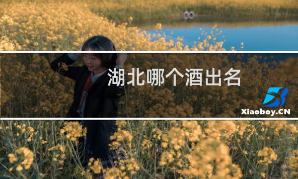 湖北哪个酒出名