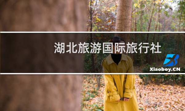 湖北旅游國際旅行社