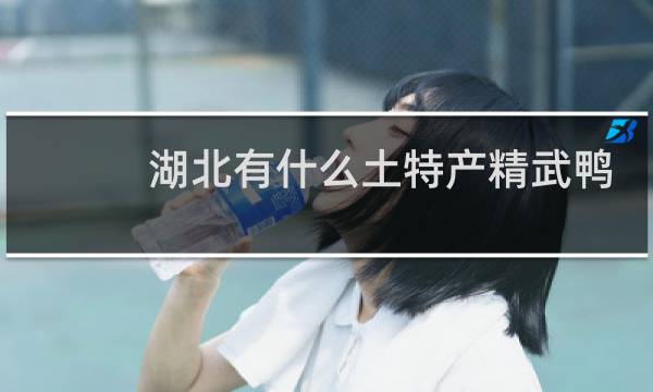 湖北有什么土特产精武鸭