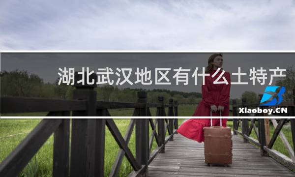 湖北武汉地区有什么土特产