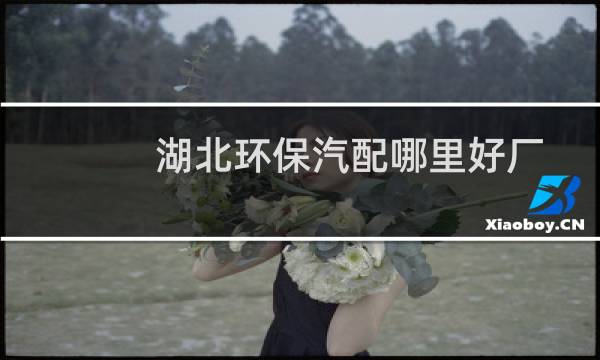 湖北环保汽配哪里好厂