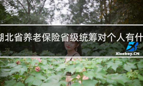 湖北省养老保险省级统筹对个人有什么影响
