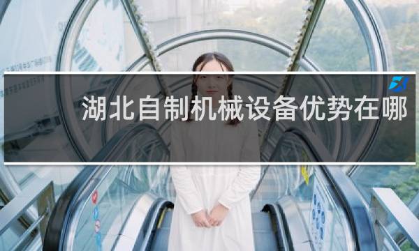湖北自制机械设备优势在哪