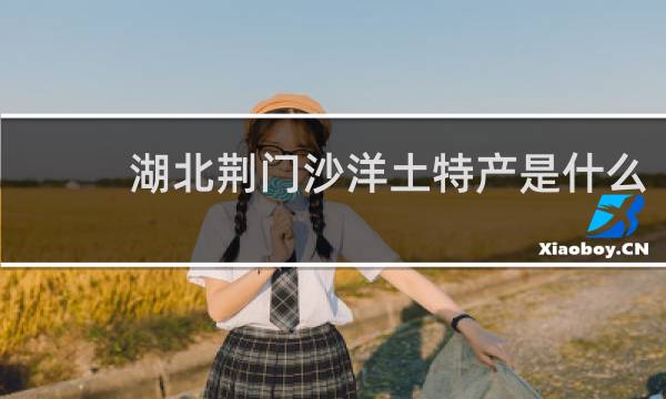 湖北荆门沙洋土特产是什么