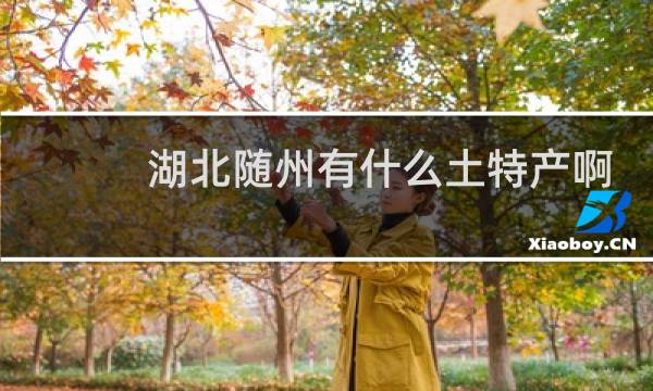 湖北随州有什么土特产啊