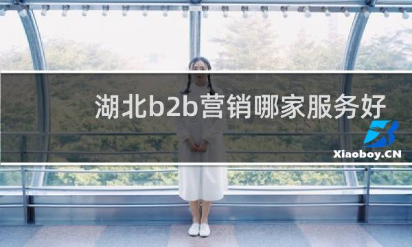 湖北b2b营销哪家服务好