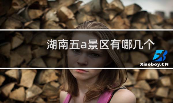 湖南五a景区有哪几个