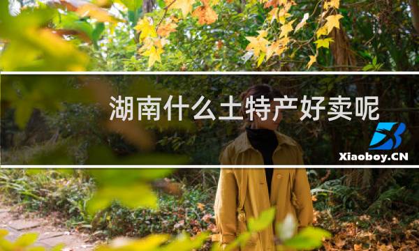 湖南什么土特产好卖呢