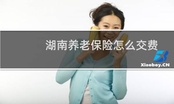 湖南养老保险怎么交费