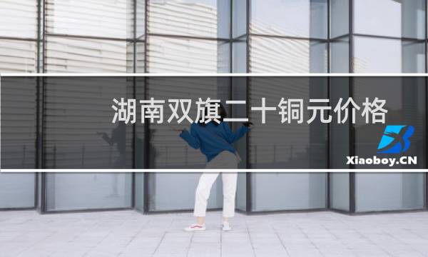 湖南双旗二十铜元价格