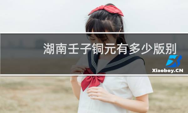 湖南壬子铜元有多少版别