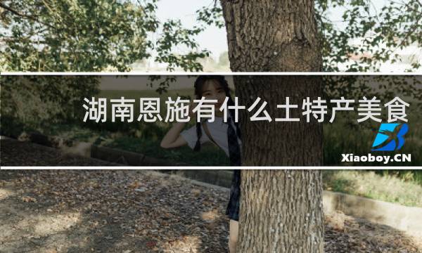 湖南恩施有什么土特产美食