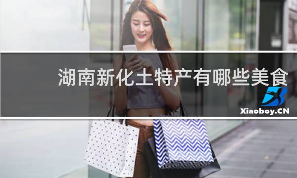 湖南新化土特产有哪些美食