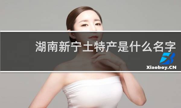 湖南新宁土特产是什么名字