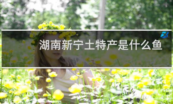 湖南新宁土特产是什么鱼