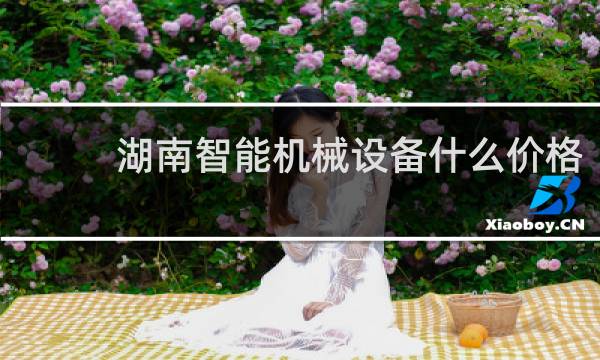 湖南智能机械设备什么价格