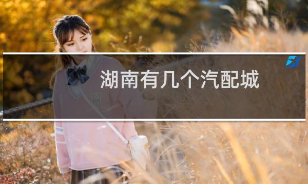 湖南有几个汽配城