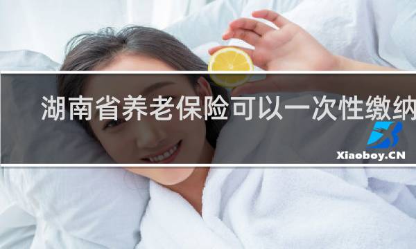 湖南省养老保险可以一次性缴纳吗