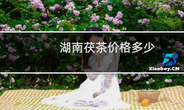 湖南茯茶价格多少