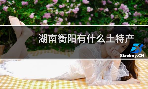 湖南衡阳有什么土特产