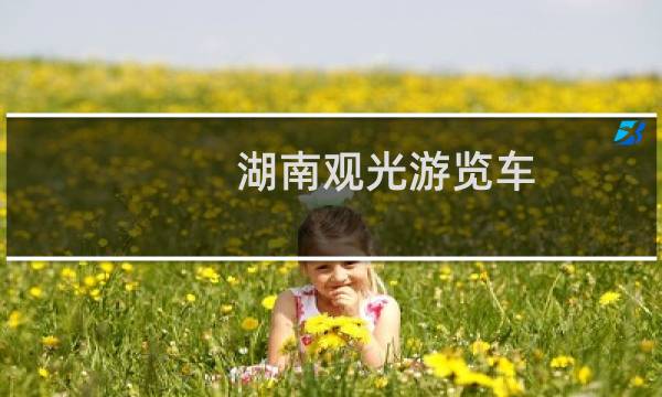 湖南观光游览车