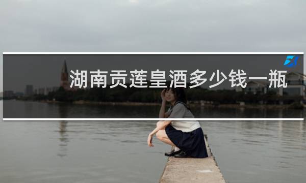 湖南贡莲皇酒多少钱一瓶