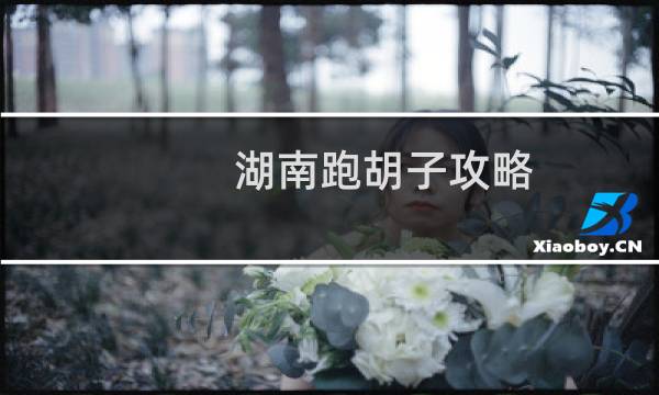 湖南跑胡子攻略